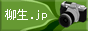 柳生JAPAN