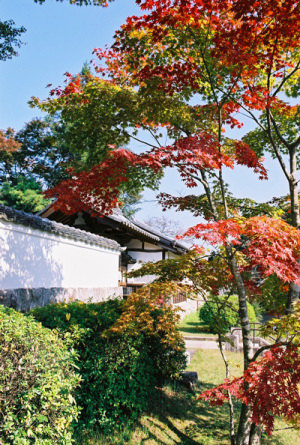 芳徳寺