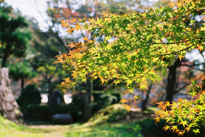 芳徳寺