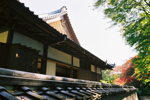 芳徳寺