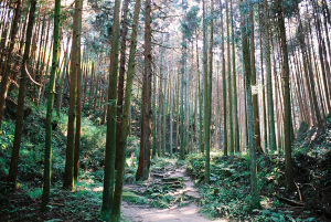 天乃石立神社