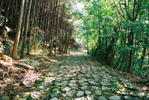 芳徳寺へと続く石畳