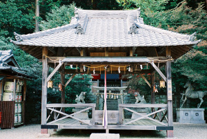 柳生八坂神社