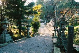 柳生八坂神社