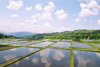 大山隠岐国立公園（14枚）