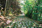 柳生の里、風景