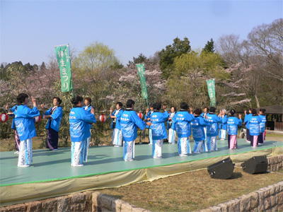 2008年柳生さくら祭