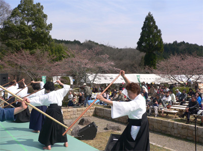 2008年柳生さくら祭